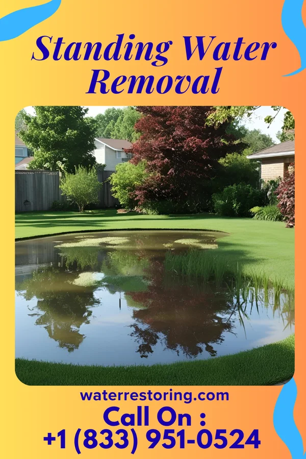 Standing Water Removal in Pembroke, KY